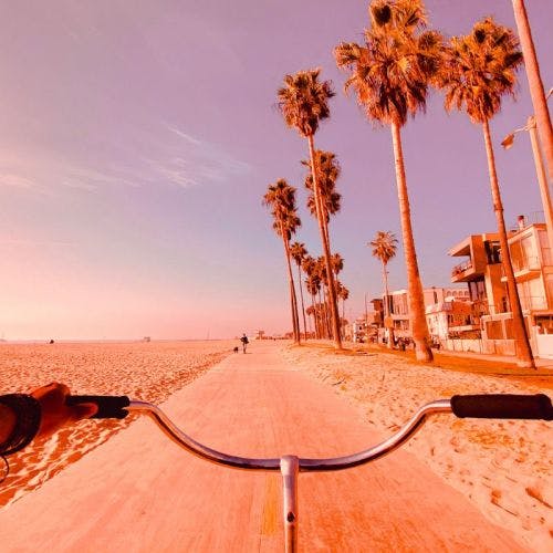 Venice Beach